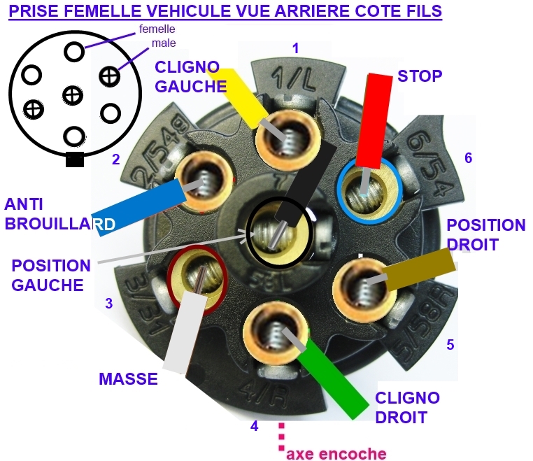 branchement prise remorque 7 brouche