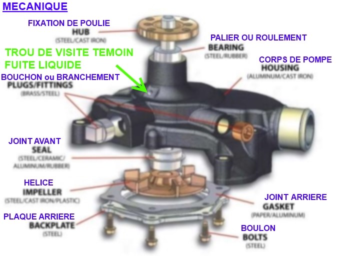 Schema Pompe A Eau Voiture